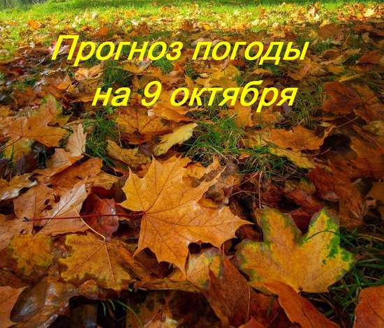 Оперативный ежедневный прогноз возможного возникновения и развития чрезвычайных ситуаций на территории Саратовской области на 09 октября 2024.