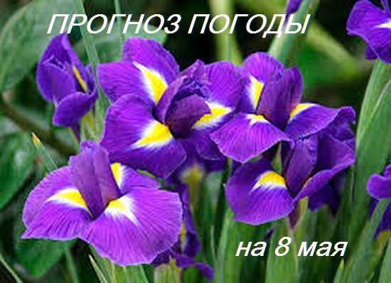 Оперативный ежедневный прогноз возможного возникновения и развития чрезвычайных ситуаций на территории Саратовской области на 08 мая 2024.