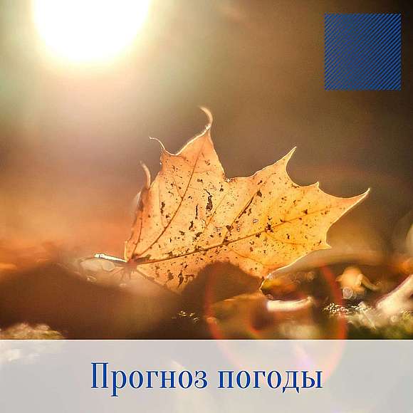 Оперативный ежедневный прогноз возможного возникновения и развития чрезвычайных ситуаций на территории Саратовской области на 21 октября 2021 г