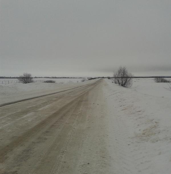 Ремонт  региональной автодороги «Романовка –Малое Щербедино» 