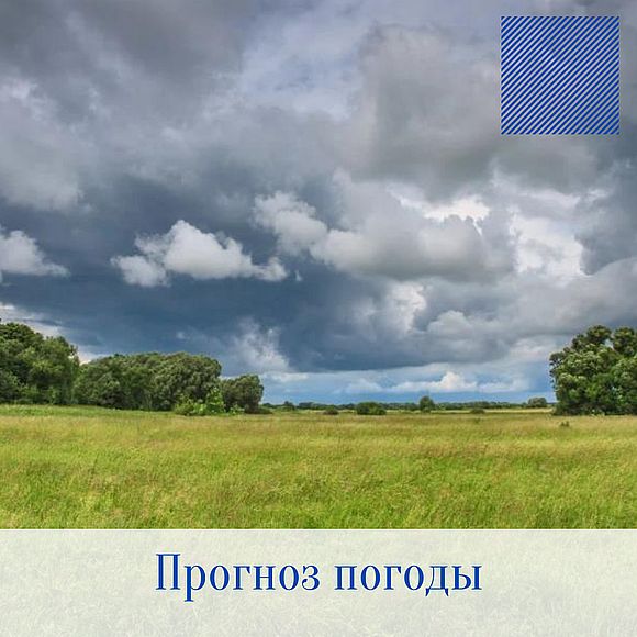 Оперативный ежедневный прогноз возможного возникновения и развития чрезвычайных ситуаций на территории Саратовской области на 23 августа 2021 г