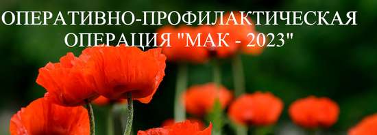 На территории Саратовской области проводится второй этап межведомственной оперативно-профилактической операции «Мак-2023»