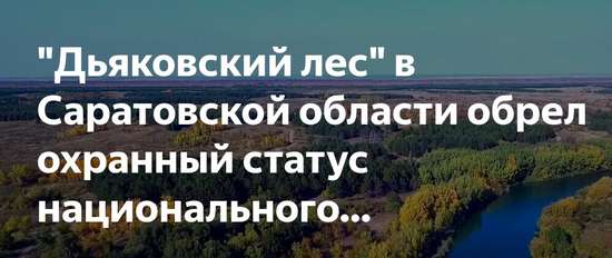 Границы «Дьяковского леса» внесены в ЕГРН