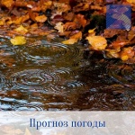 Оперативный ежедневный прогноз возможного возникновения и развития чрезвычайных ситуаций на территории Саратовской области на 09 ноября 2021 г