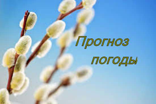 Оперативный ежедневный прогноз возможного возникновения и развития чрезвычайных ситуаций на территории Саратовской области на 10 апреля 2024.