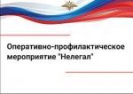 Подведены итоги второго этапа оперативно-профилактического мероприятия «Нелегал-2023»