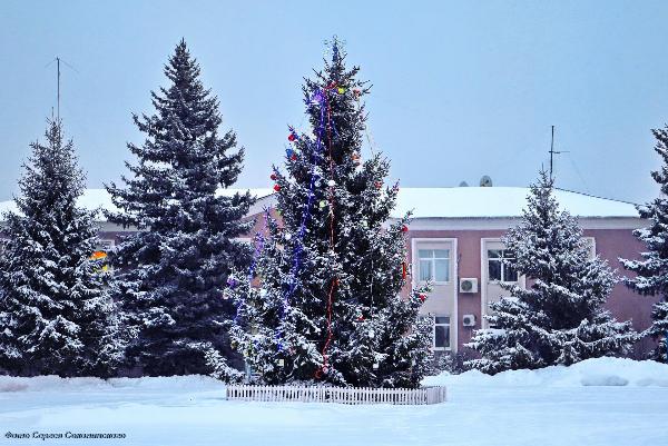 В центре р.п.Романовка установлена главная новогодняя елка