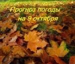 Оперативный ежедневный прогноз возможного возникновения и развития чрезвычайных ситуаций на территории Саратовской области на 09 октября 2024.