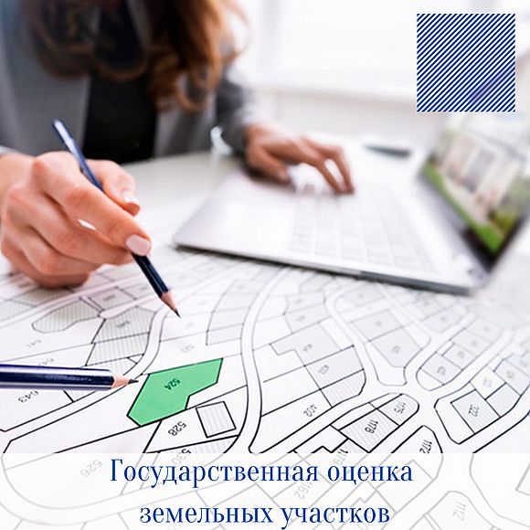 В 2022 году в Саратовской области проводится государственная оценка земельных участков