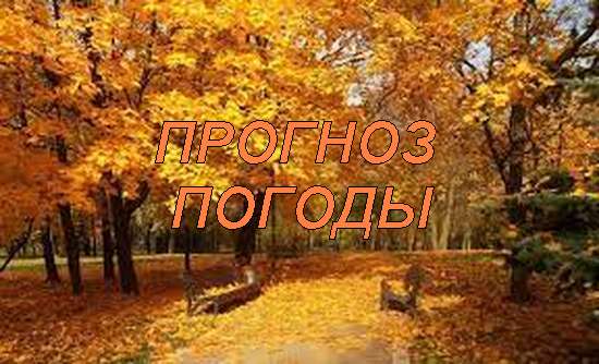 Оперативный ежедневный прогноз возможного возникновения и развития чрезвычайных ситуаций на территории Саратовской области на 02 ноября 2023.