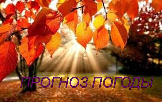 Оперативный ежедневный прогноз возможного возникновения и развития чрезвычайных ситуаций на территории Саратовской области на 01 ноября 2023.