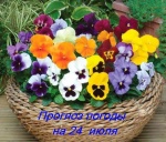 Оперативный ежедневный прогноз возможного возникновения и развития чрезвычайных ситуаций на территории Саратовской области на 24 июля 2024.