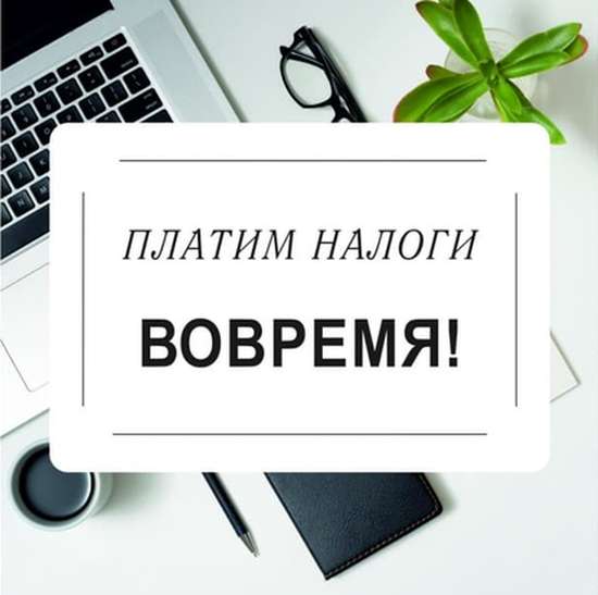 Платим налоги вовремя!