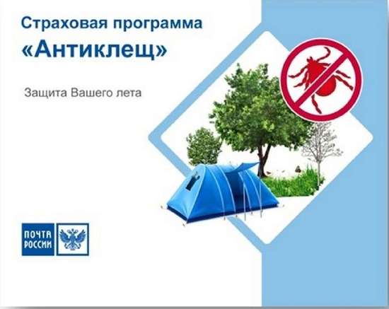 Саратовцы стали чаще приобретать на почте страховки от последствий укусов клещей 