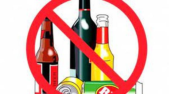 Об определении границ прилегающих территорий на которых не допускается розничная продажа алкогольной продукции и розничная продажа алкогольной продукции при оказании услуг общественного питания на территории Романовского МР Саратовской области