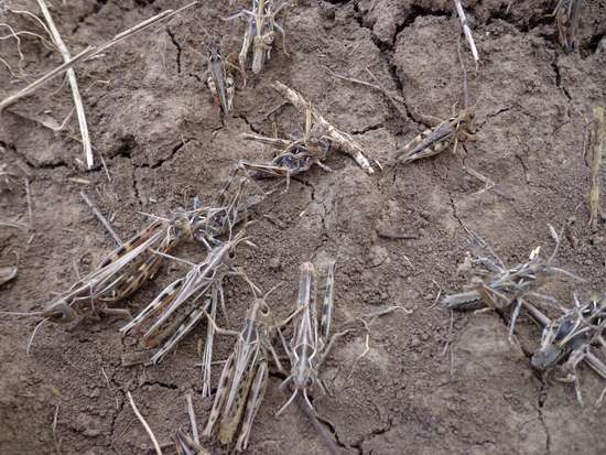 ИНФОРМАЦИОННЫЙ ЛИСТОК