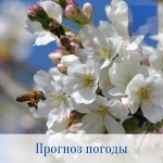 Оперативный ежедневный прогноз возможного возникновения и развития чрезвычайных ситуаций на территории Саратовской области на 03 мая 2022 г