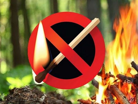 Обеспечение пожарной безопасности – это необходимость!