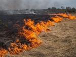 Порядок использования открытого огня на землях сельскохозяйственного назначения, в лесных массивах и на территории личных подсобных хозяйств