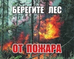 В лесах саратовской области введен особый противопожарный режим