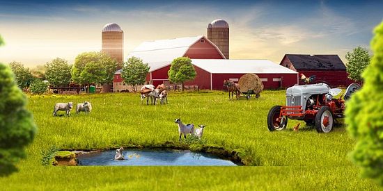 О самозанятых владельцах ЛПХ