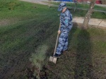 В р.п. Романовка общественники и «юные друзья полиции» присоединились к общероссийской акции «Сад памяти»