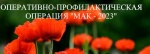 На территории Саратовской области проводится второй этап межведомственной оперативно-профилактической операции «Мак-2023»