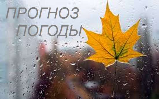 Оперативный ежедневный прогноз возможного возникновения и развития чрезвычайных ситуаций на территории Саратовской области на 17 ноября 2023.