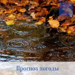 Оперативный ежедневный прогноз возможного возникновения и развития чрезвычайных ситуаций на территории Саратовской области на 10 декабря 2021 г