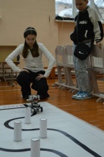 «Созвездие роботов».  