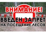 Об ограничении пребывания граждан в лесах