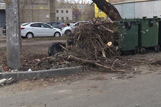 В преддверии субботников регоператор напомнил о правилах складирования веток и опилов деревьев