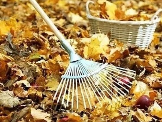 В Романовском районе объявлен месячник по благоустройству территории.