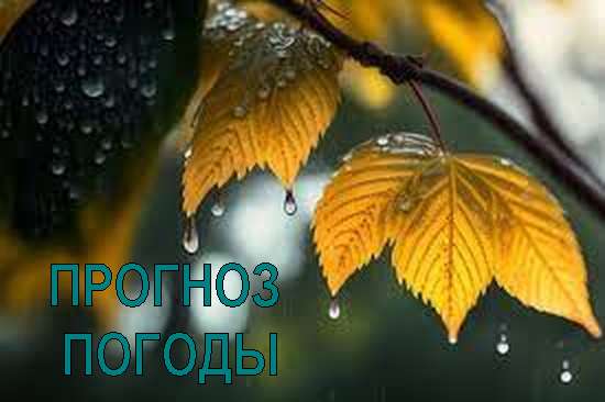 Оперативный ежедневный прогноз возможного возникновения и развития чрезвычайных ситуаций на территории Саратовской области на 10 ноября 2023