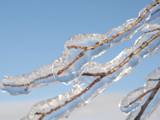 Информация для населения!