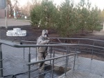Проведены дезинфекционные мероприятия на открытых пространствах в р.п. Романовка