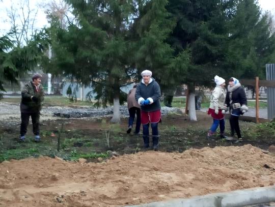 6 ноября состоялся субботник по благоустройству территории прилегающей к бассейну