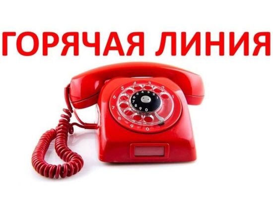 Об организации работы «горячей линии»
