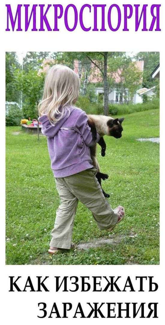 «ОСТОРОЖНО! СТРИГУЩИЙ ЛИШАЙ (МИКРОСПОРИЯ)»