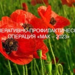 На территории Саратовской области проводится третий этап межведомственной оперативно-профилактической операции «Мак-2023»