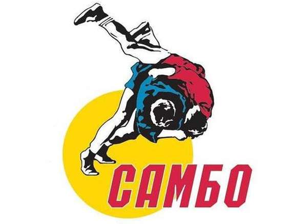 Турнир по самбо