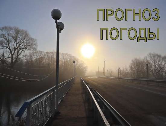 Оперативный ежедневный прогноз возможного возникновения и развития чрезвычайных ситуаций на территории Саратовской области на 14 ноября 2023.