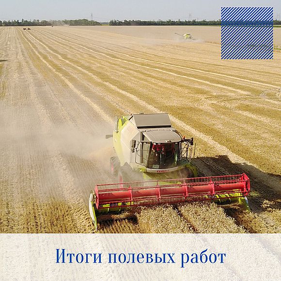 Уборочная кампания 2021 года