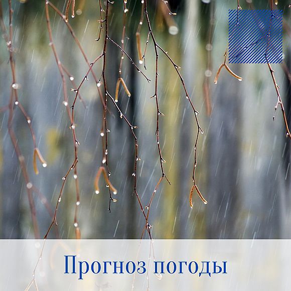 Оперативный ежедневный прогноз возможного возникновения и развития чрезвычайных ситуаций на территории Саратовской области на 21 апреля 2022 г