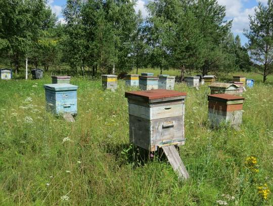 Об организации обмена информацией между пчеловодами и сельскохозяйственными товаропроизводителями о планируемых агрохимических обработках посевов и размещением пчелопасек в период медосбора 2020 года.