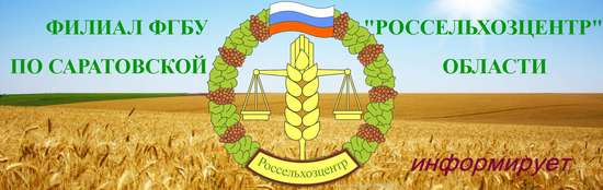 Рейтинг 10 сортов (гибридов) лидеров с/х культур по объемам высева в РФ в 2025 г.