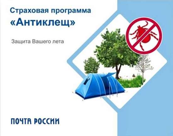  Страховку от клещей можно приобрести на Почте. 