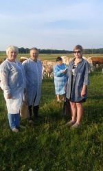 В районе проводится учёт поголовья скота