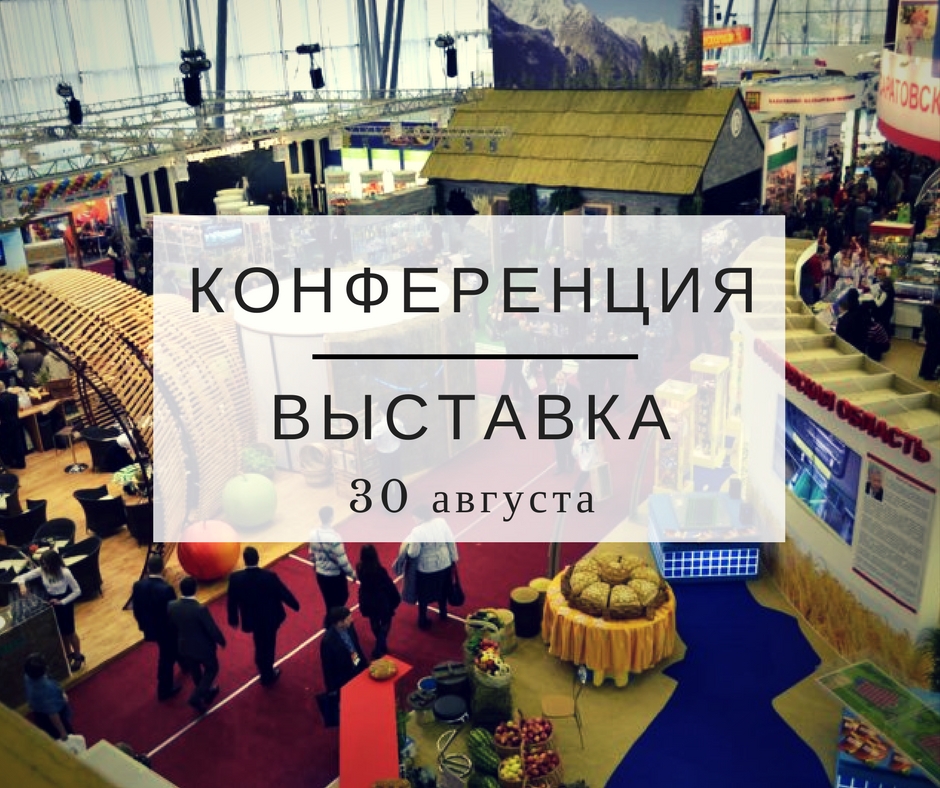 Конференция (1).jpg