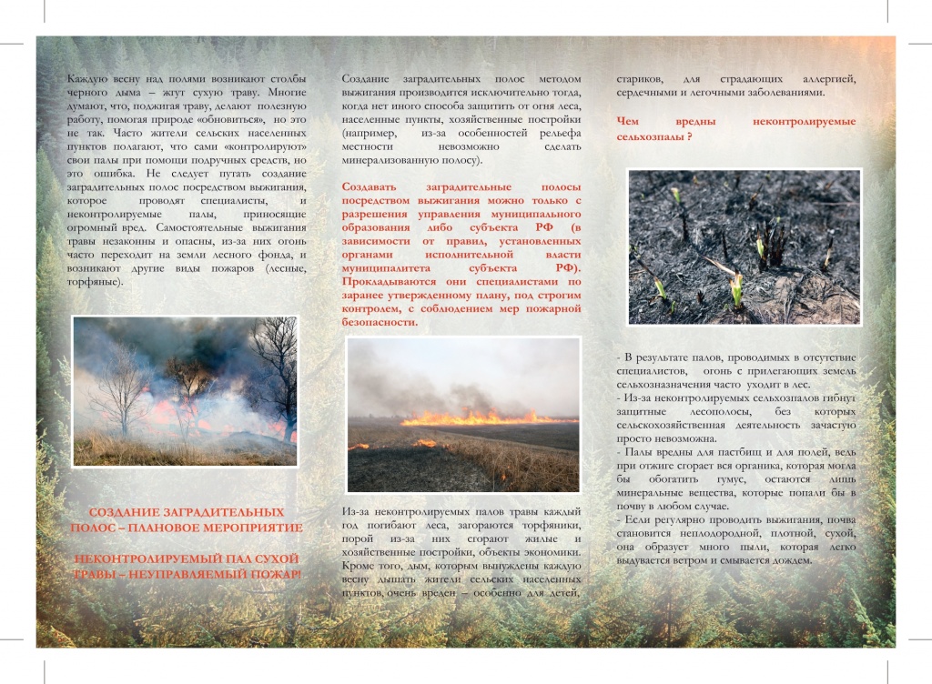Памятка Против поджогов сухой травы_page-0002.jpg